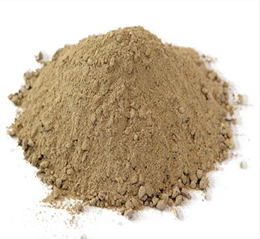 91视频最新网站